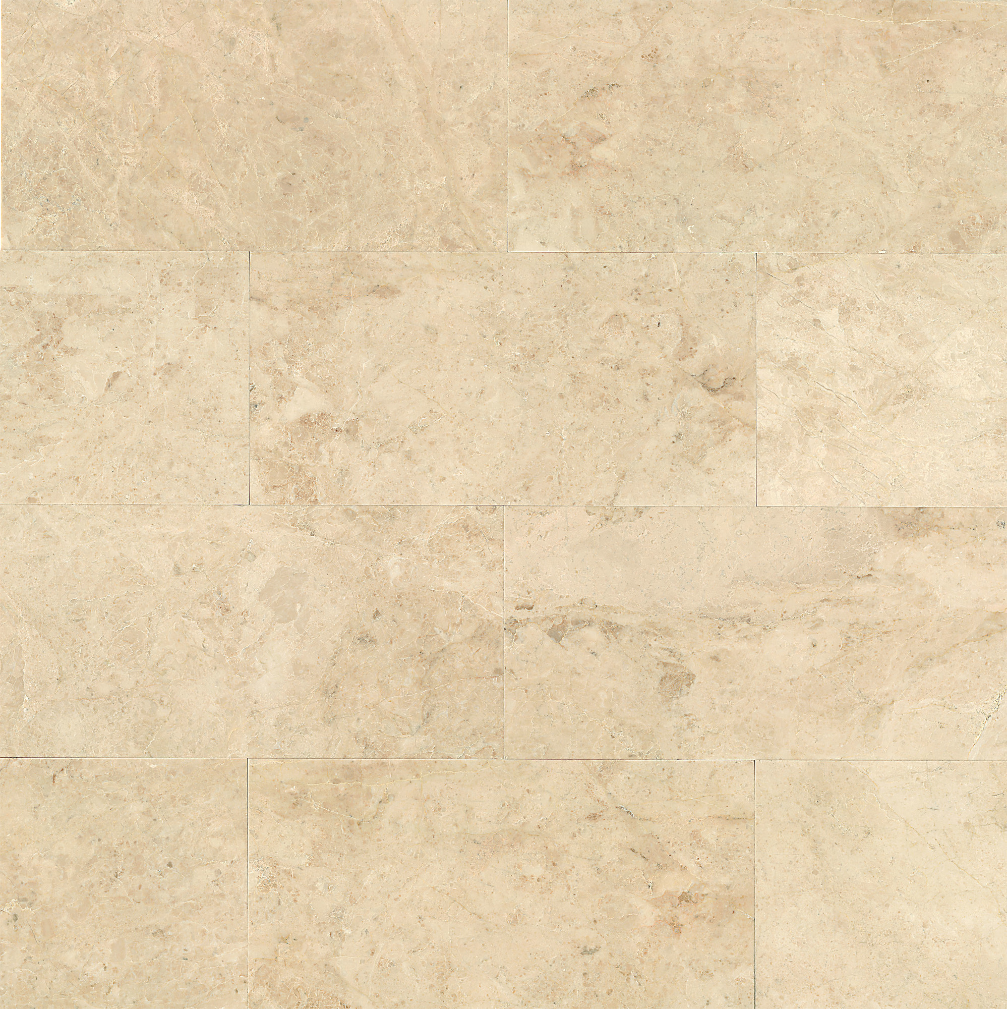 cappuccino polished marble 12x24 tile cappuccino polished marble 12x24 tile
