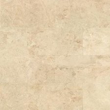 Cappuccino Polished Marble Tile - 12 x 24 x 3/8