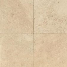 Cappuccino Polished Marble Tile - 24 x 24 x 3/8